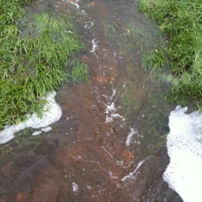 Little creek going through Berridale