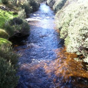 Thredbo River going through Thredbo Village