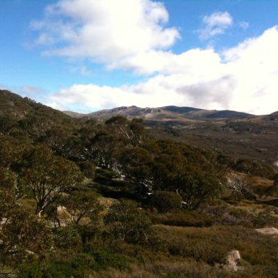 Atop Charlotte Pass