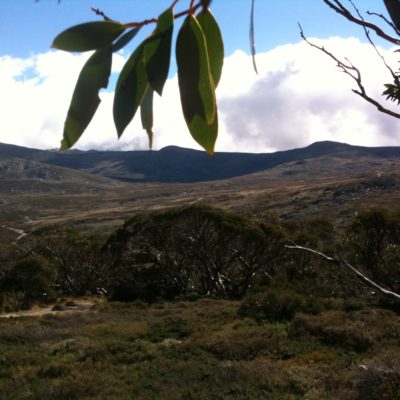 Looking out to Mt Kosciuszko from atop Charlotte Pass 