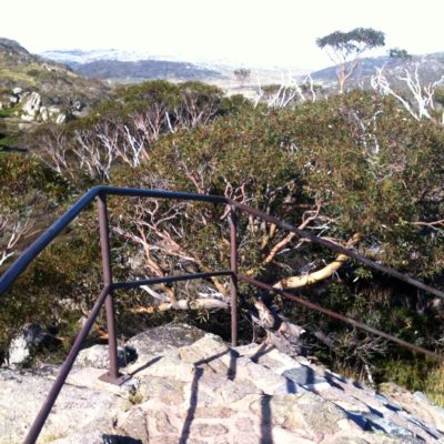 At Charlotte Pass, surveying all around me. Mountains galore. Snowy gums. Lichen. All so beautiful.