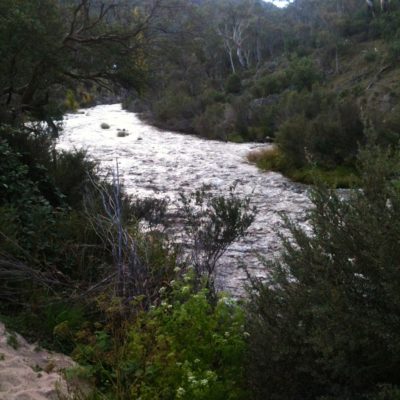 Thredbo River down the bottom of the mountains