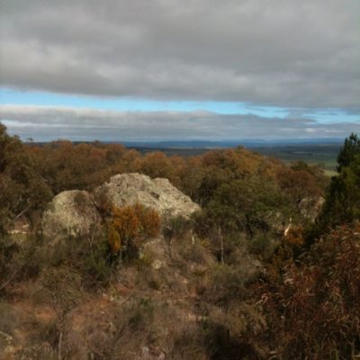 Lookout outside Cooma looking over the Snowy Mountains. Saw a flock of Superb Parrots. Beautiful!